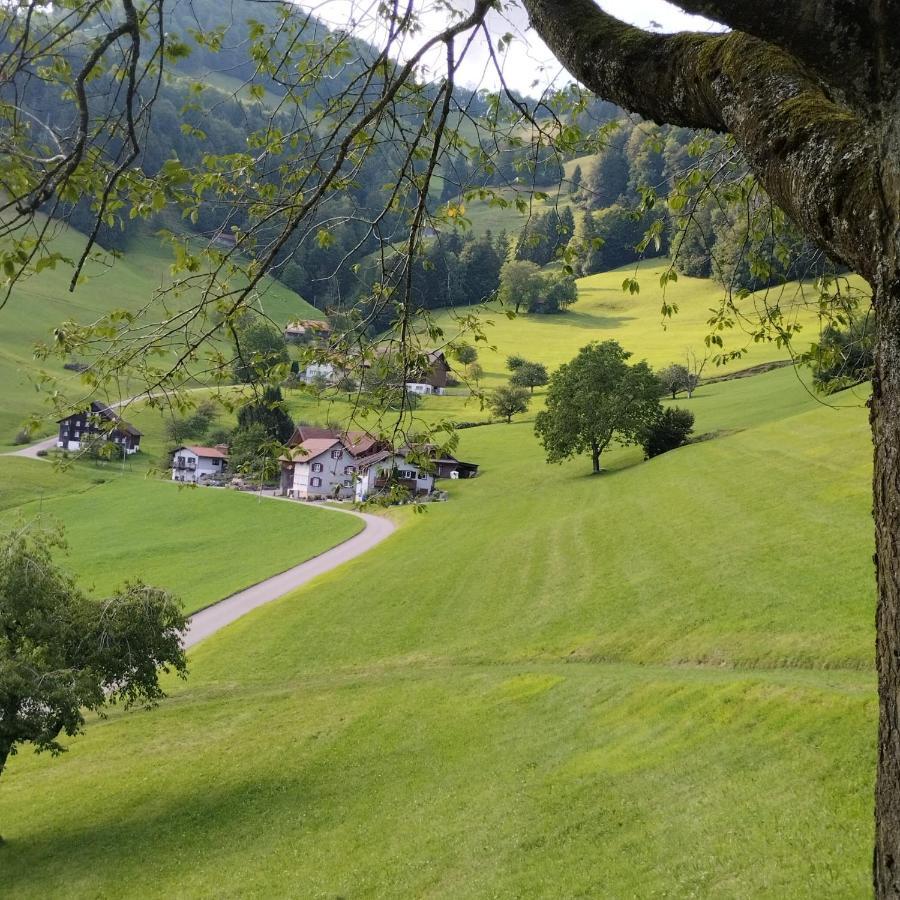 Dom Wiejski Artur Goldingen Luaran gambar