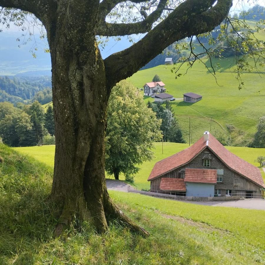 Dom Wiejski Artur Goldingen Luaran gambar